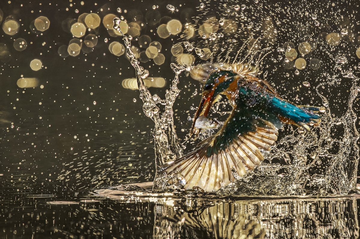 Dancer