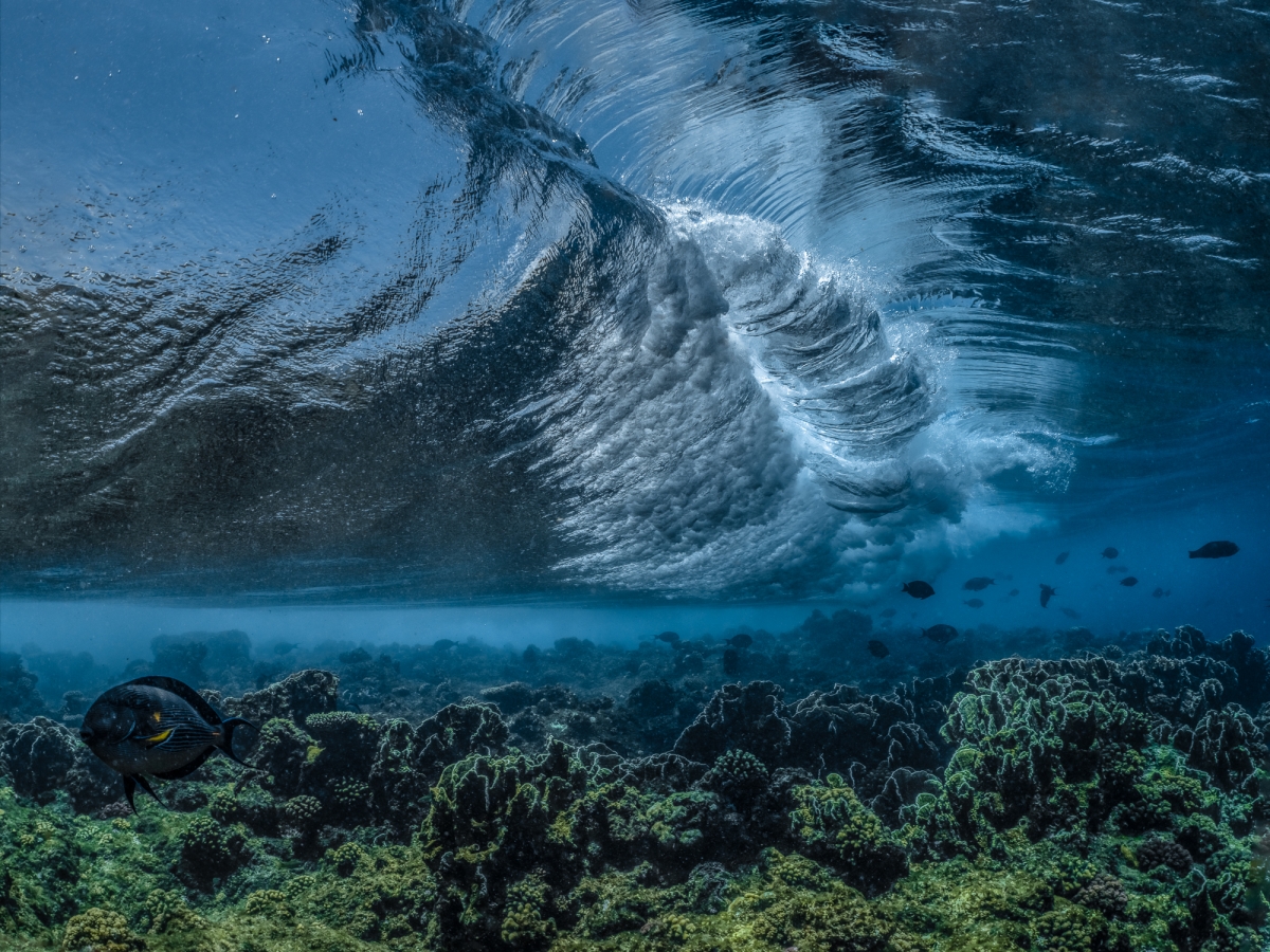 Kiss of the wave