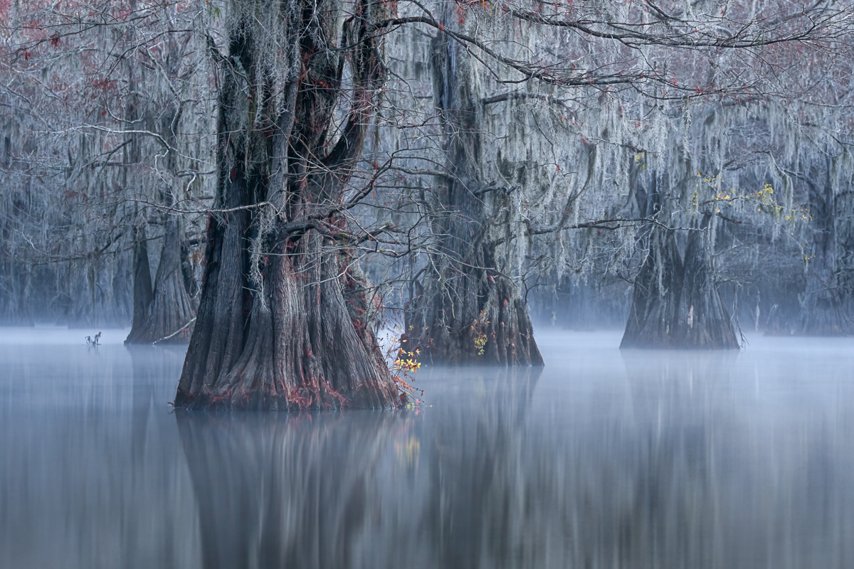 Morning Mist