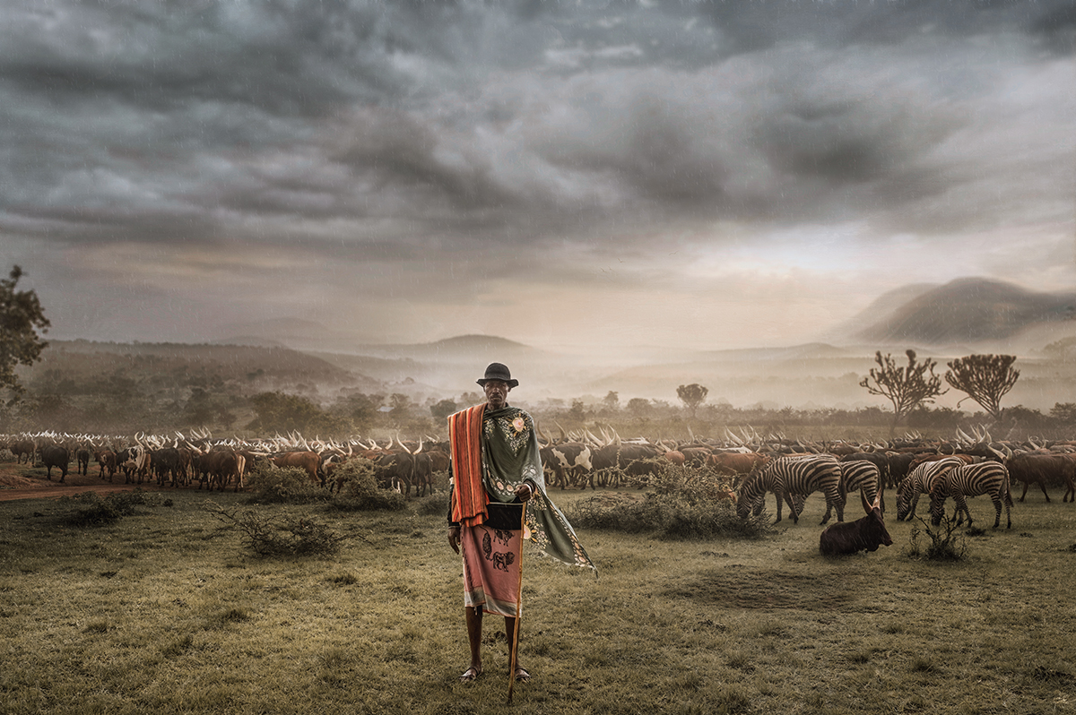 The Shepherd
