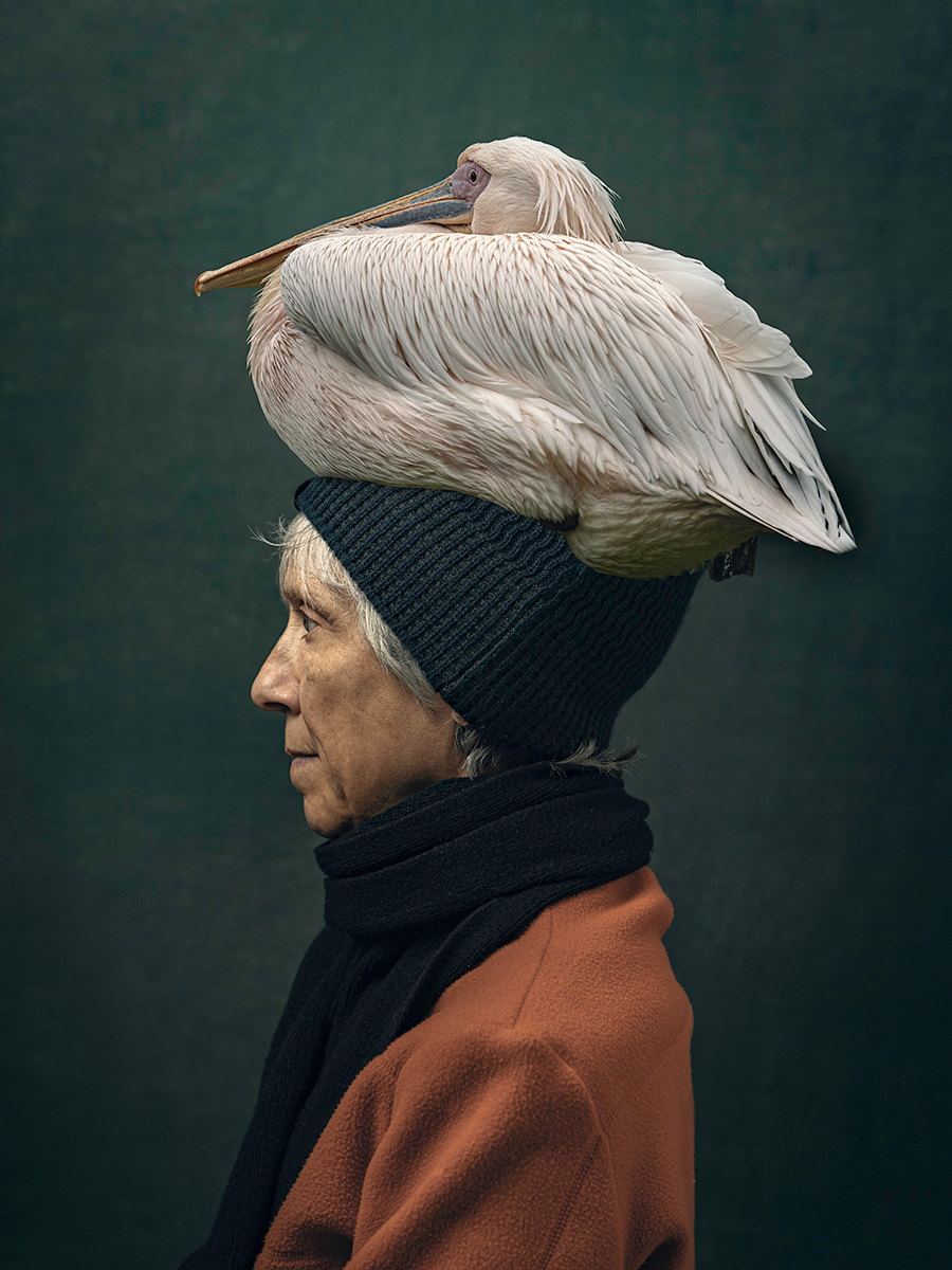 Birds of a Feather