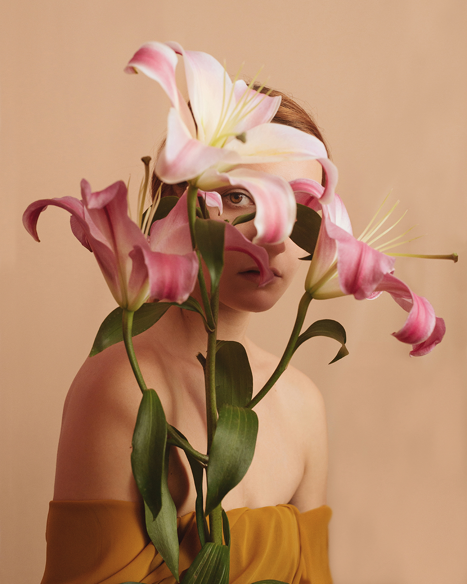 Lilium 
