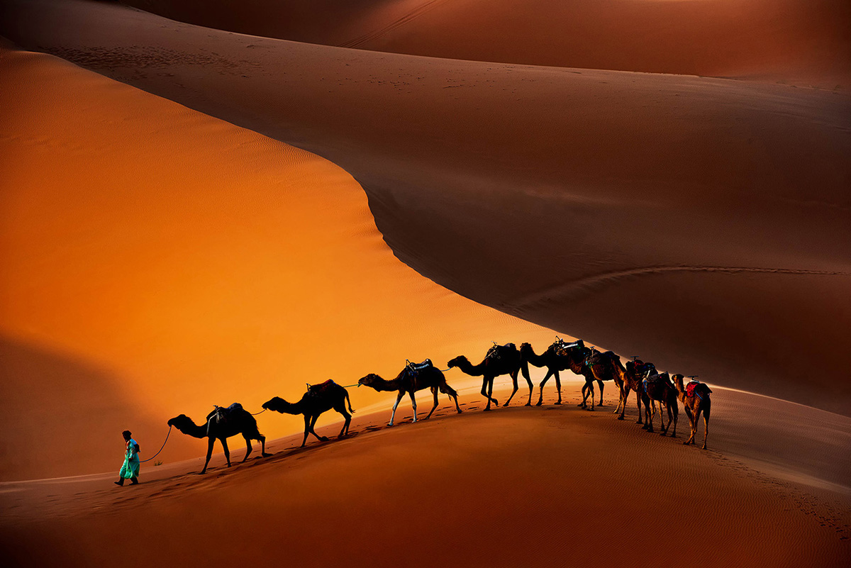 The caravan