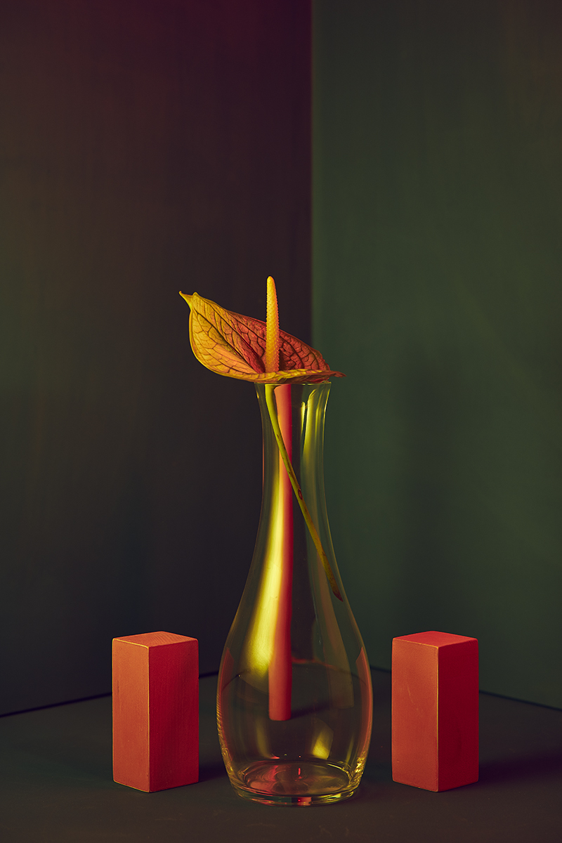 Flamingo flower