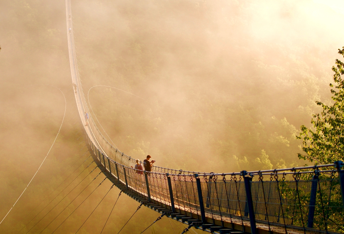 Bridge Geierlay