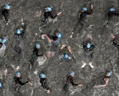 blue head group