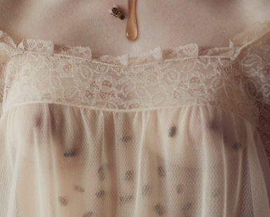 The Beekeeper