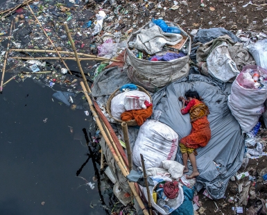 A Plastic Refuge