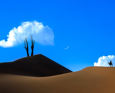 Desert Hills