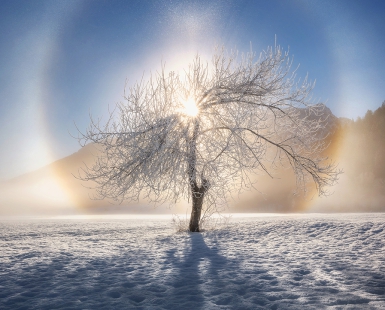 Ring of frost