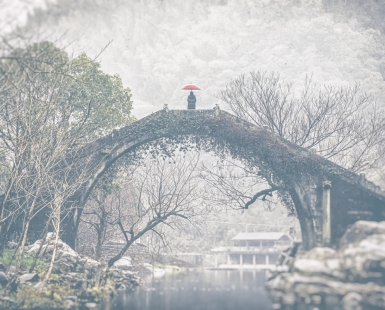Winter Rain