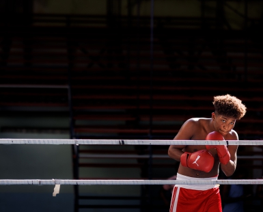 Boxer 