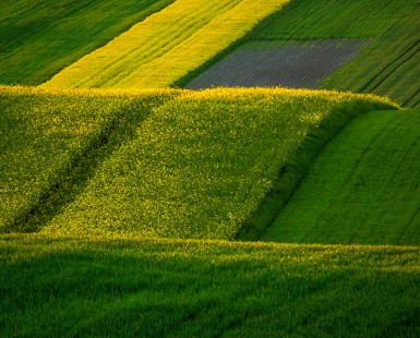 Nature painted