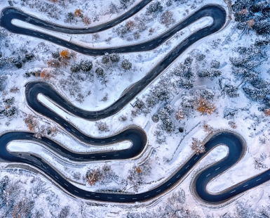 tapeworm