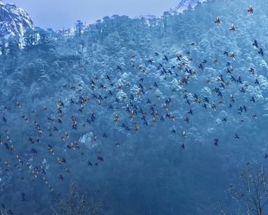 A poetry in blue