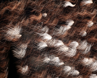 Fireworks tresses 