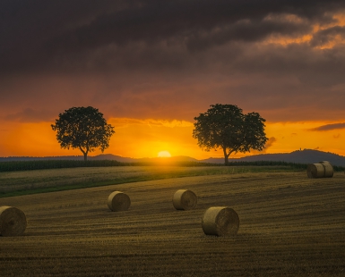 Baling Season