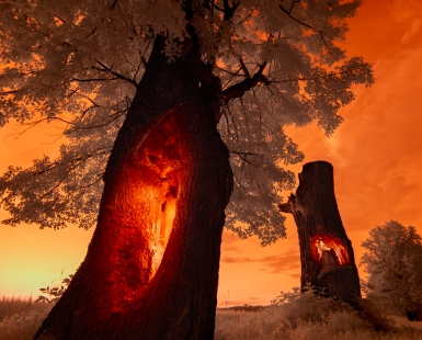 Wooden Souls I