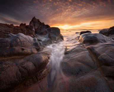 Golden Glow