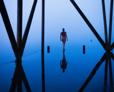 The Mist