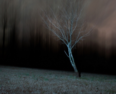 Presence