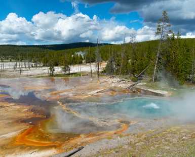 Yellowstone