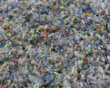 plastic bottle 