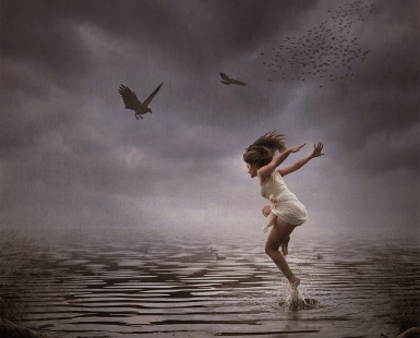 Fly High