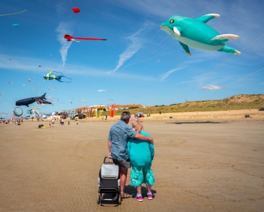 Dolphins in the sky