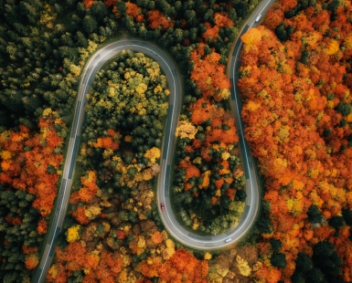 Snake Road