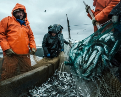 The last fisherman
