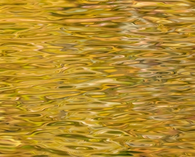 River Gold