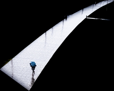 after the rain