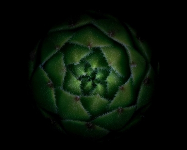 The Green Ball