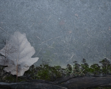 Landscape #1