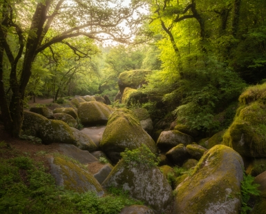 Arch of green