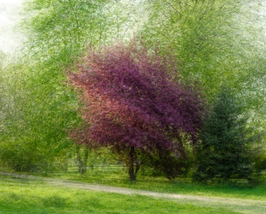 Spring