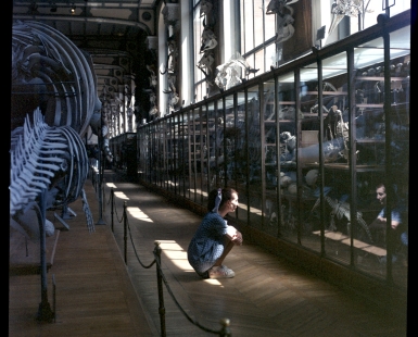 Bones and mirrors