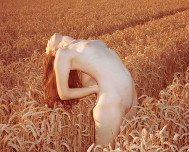 La moisson