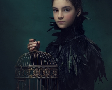 Bird cage