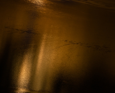 Flowing gold