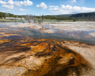 Yellowstone 1