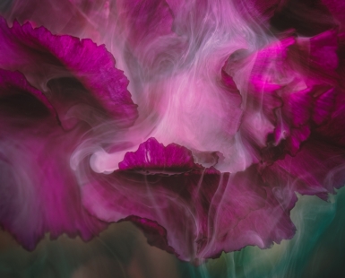 Magenta Flow
