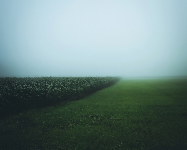 the field