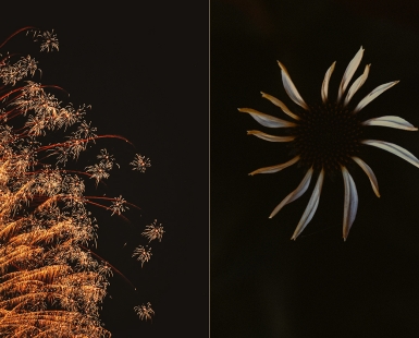 Signs Of Life