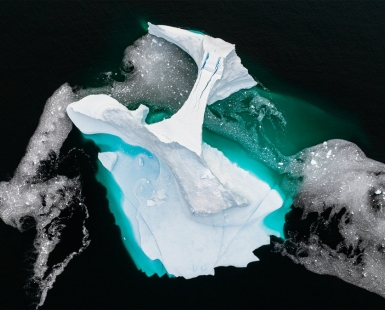 Ice Leviathin