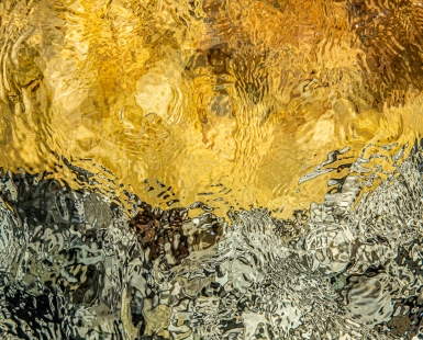 Van Gogh's Yellow