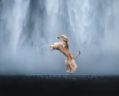 Floor is lava