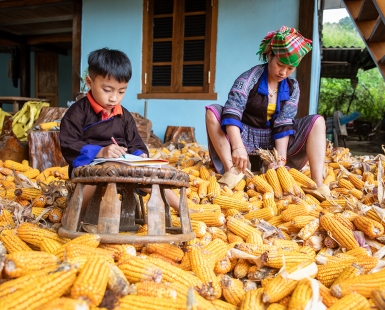 Vietnam's colors