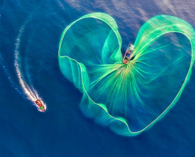 Sea Heart